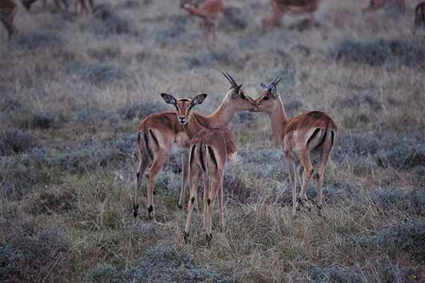 Tarangire National Park