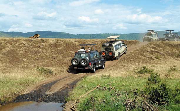 Game Drives