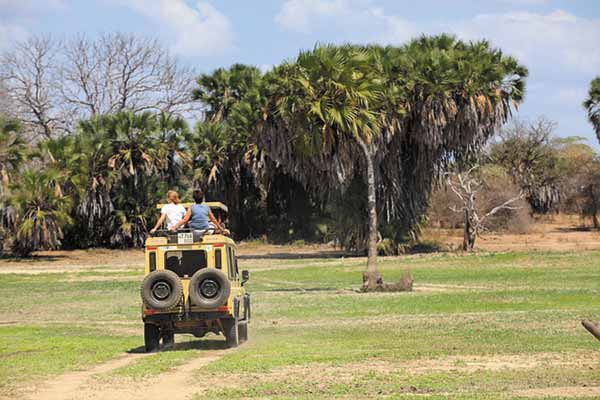 Game Drives