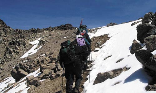 Trekking Kilimanjaro