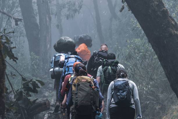 Success rate of summiting
