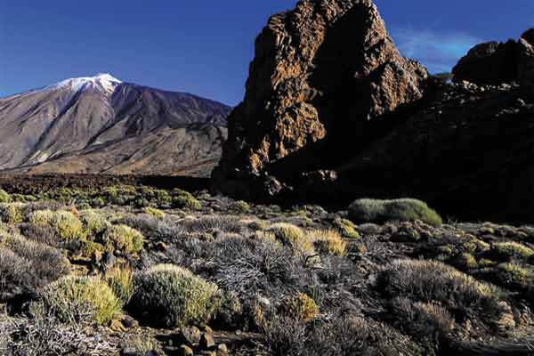 Marangu Route Trek