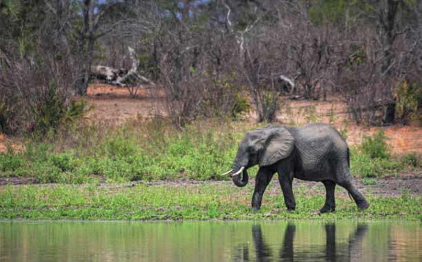 Photography Tours