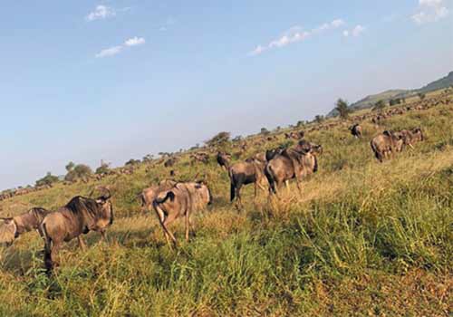 How to get to Lake Manyara