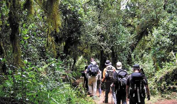 6 Days Marangu Route