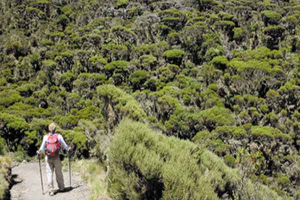 Day 4 Summit Day on Mount Meru