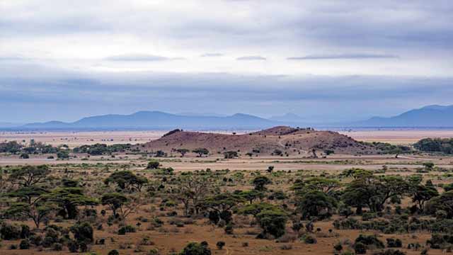Best time for safaris in Tanzania