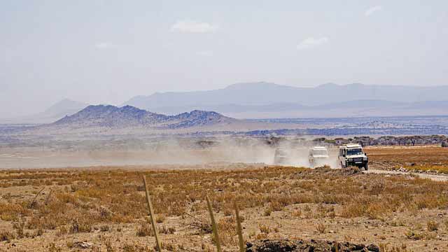Game Drives