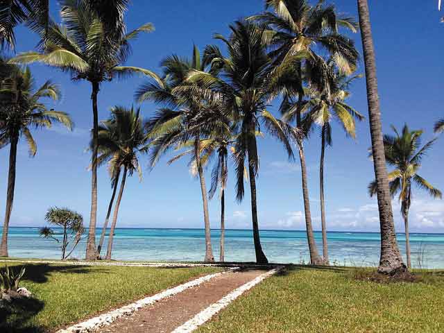 Zanzibar Adventure