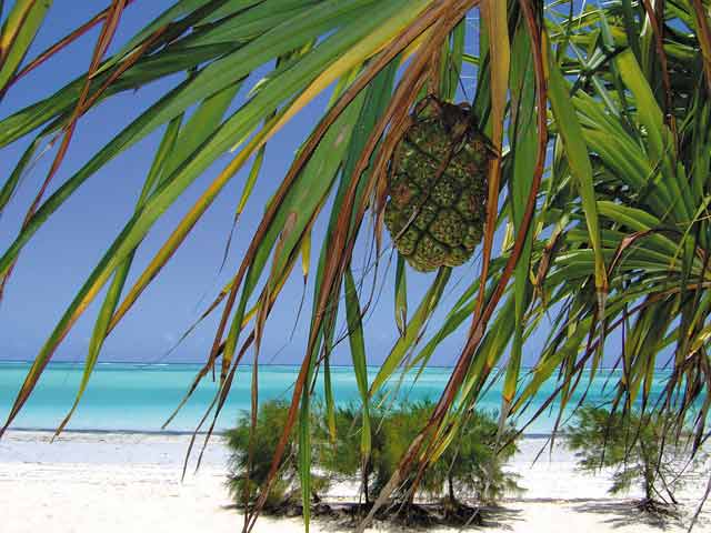 Accommodation options in Zanzibar
