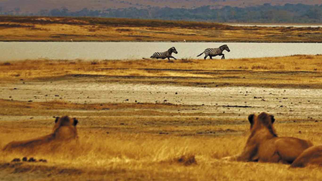 Tarangire National Park