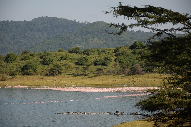 Natron Safari - The Flamingo Paradise & Sacred Waters