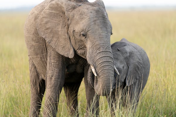 The Best Lake Natron Safaris gallery image