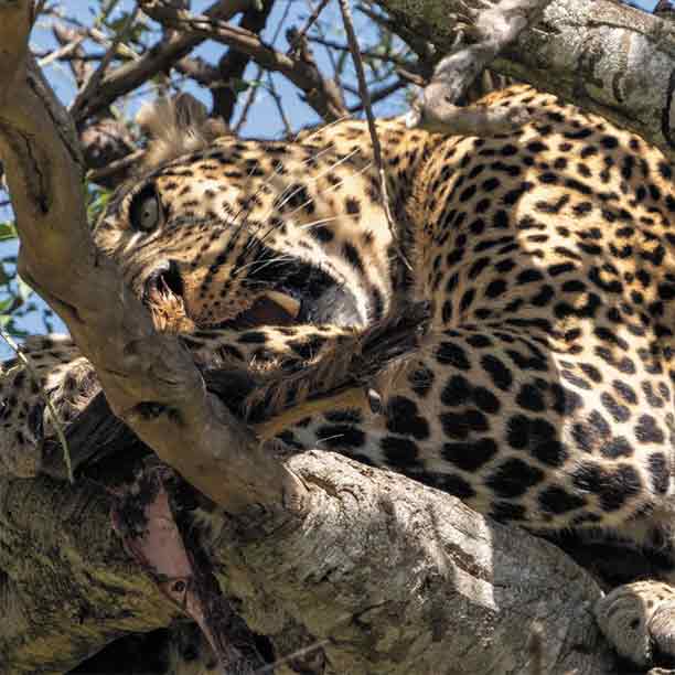 Lake Manyara National Park gallery image