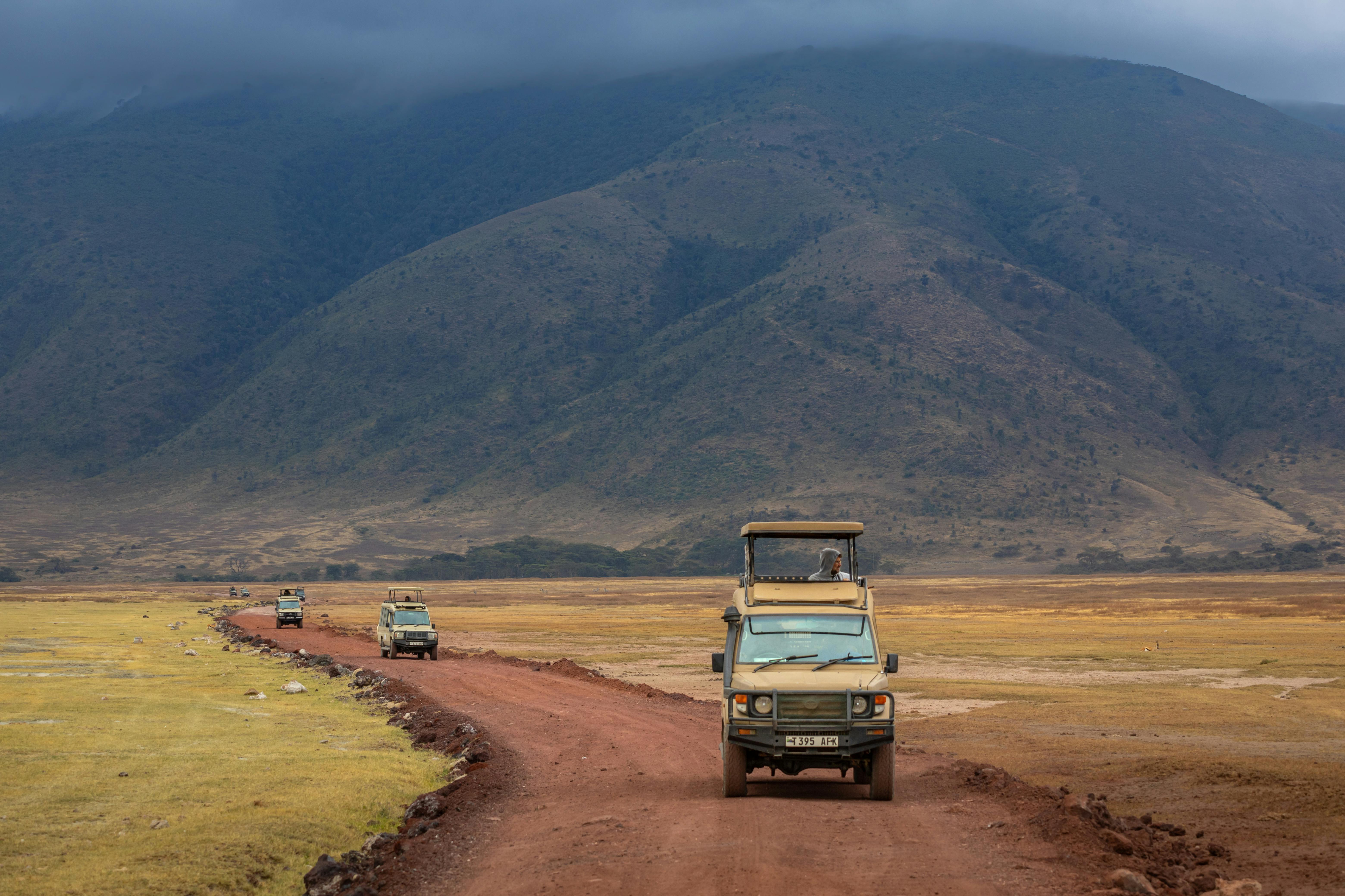 Ngorongoro Crater Safaris gallery image