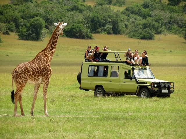 Tarangire - Serengeti Safaris main image